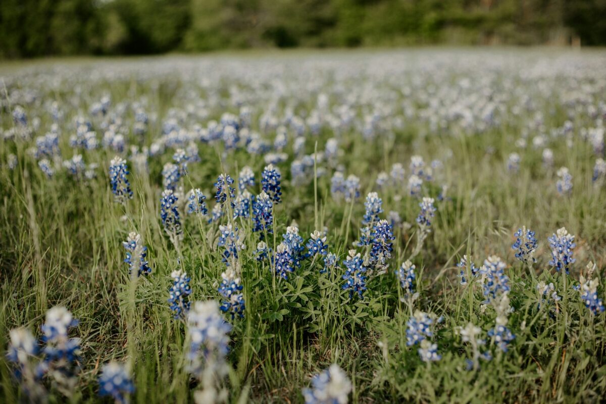 Residential Treatment Center in Austin