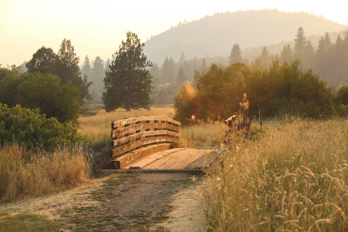 Texas Drug Treatment